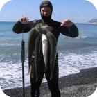 Подводная охота на пеленгаса и других рыб Чёрного моря